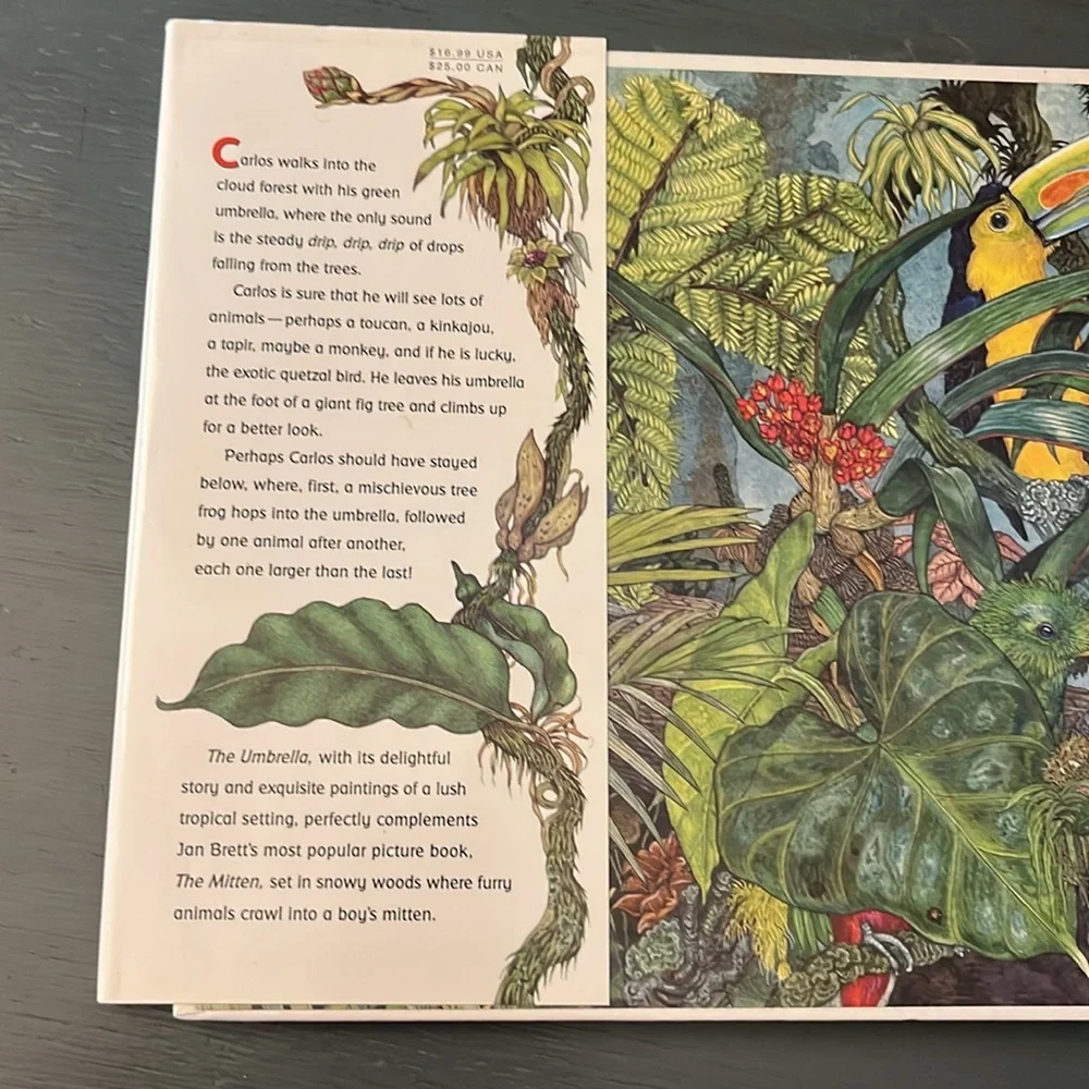 The Umbrella Hardcover – Picture Book  Sept. 2004 English edition  by Jan Bret